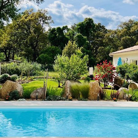 Mini Villa Pascal Paoli Avec Piscine - Proche Mer Prunelli-di-Fiumorbo Exteriör bild