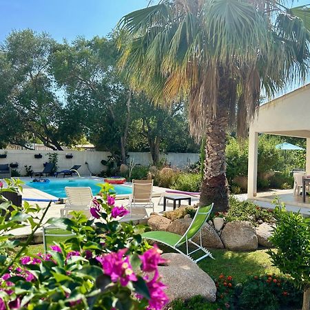 Mini Villa Pascal Paoli Avec Piscine - Proche Mer Prunelli-di-Fiumorbo Exteriör bild