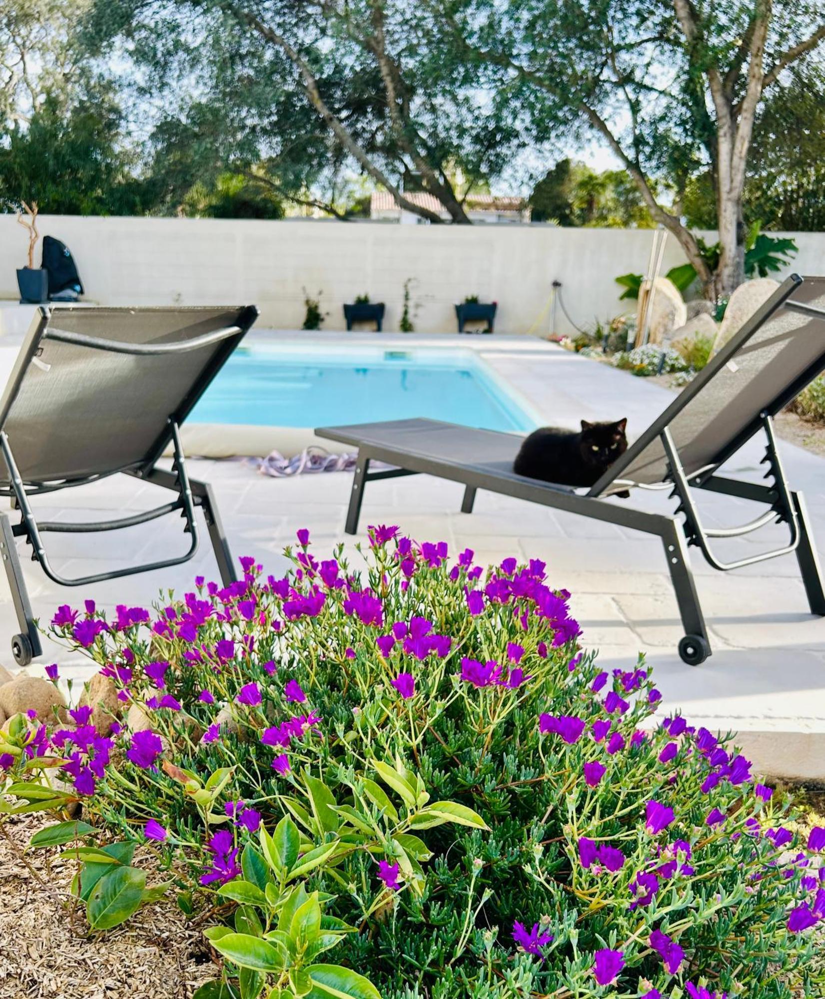 Mini Villa Pascal Paoli Avec Piscine - Proche Mer Prunelli-di-Fiumorbo Exteriör bild